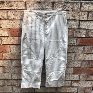 Madewell Slim Emmet Wide Leg Crop Pants NWT